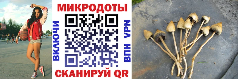 Псилоцибиновые грибы ЛСД  Купить  Невель 