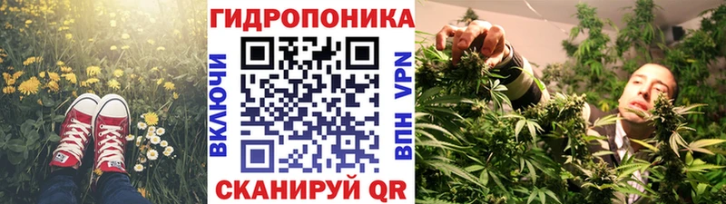 Купить  Невель  Шишки марихуана MAZAR 
